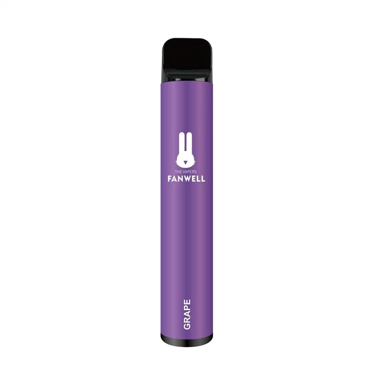 Disposable Vapes 1000 Puffs